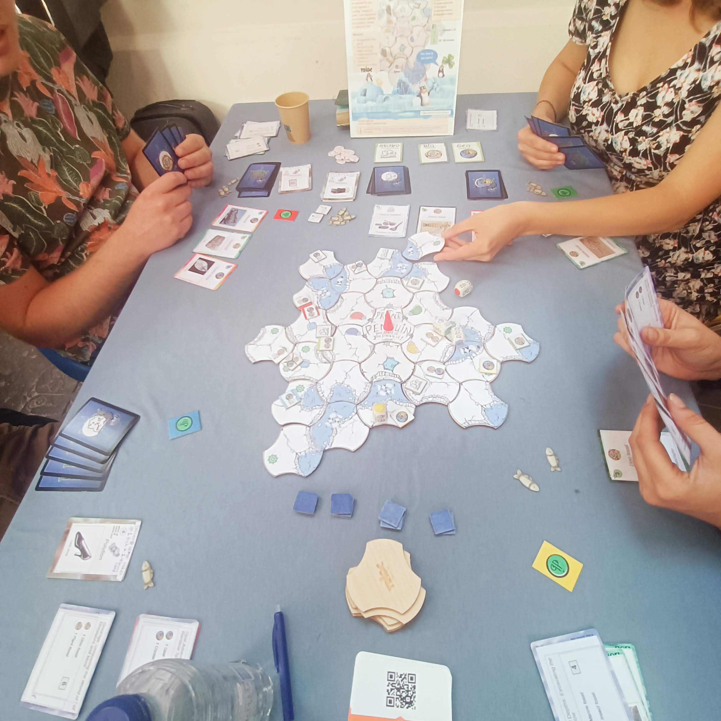 madilo.games, Project Penguin, Noorderspel Groningen, gamedesign,